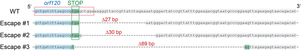 Extended Data Fig. 3