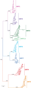 <sc>Fig.</sc> 2.