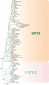 <sc>Fig.</sc> 3.