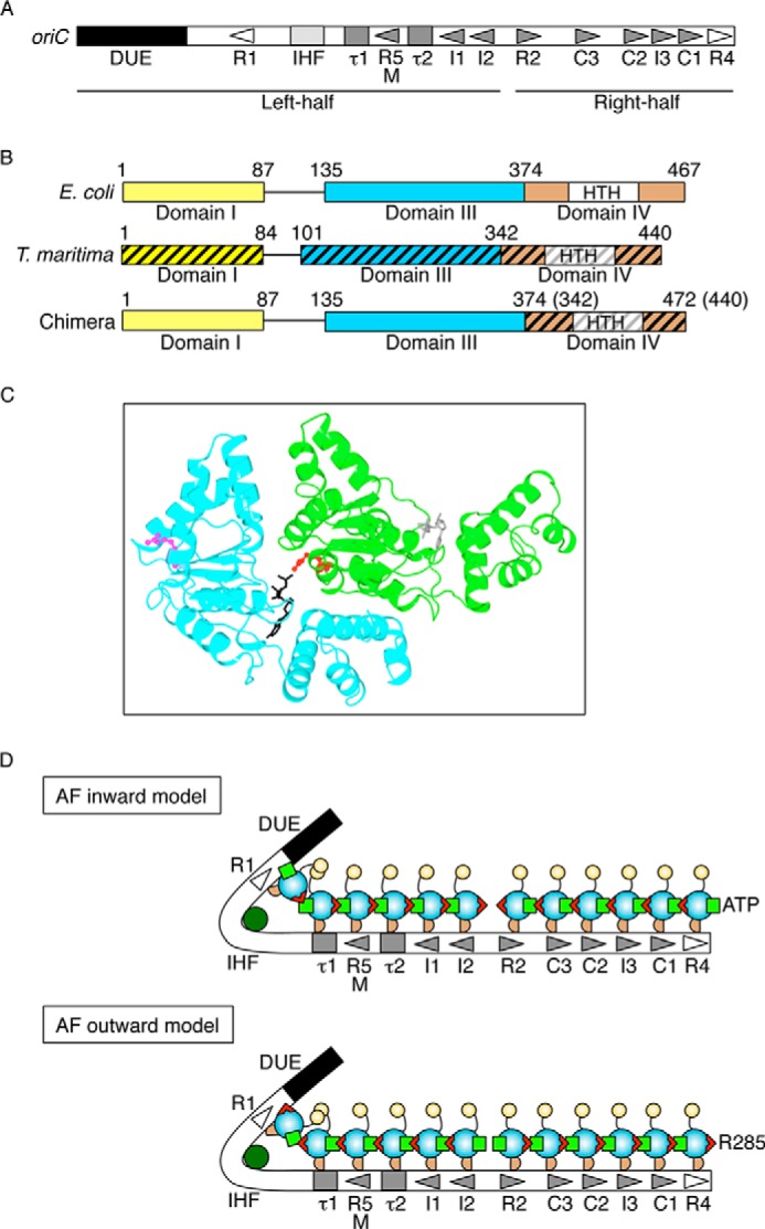 FIGURE 1.