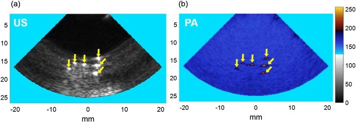 Fig. 7