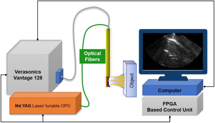 Fig. 2