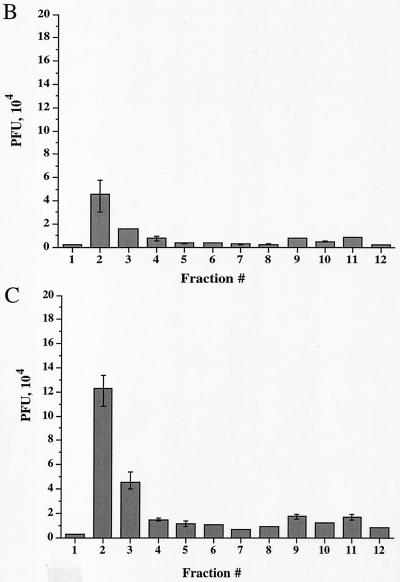 FIG. 7