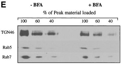 FIG. 8