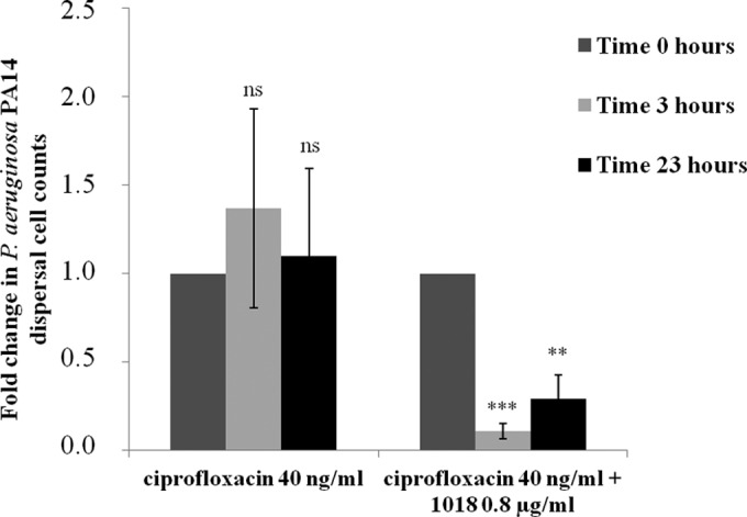 FIG 4