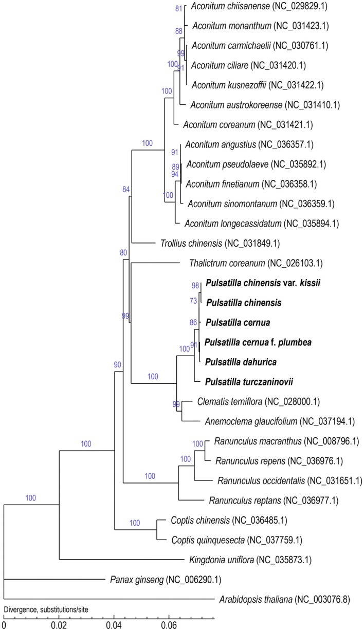 Fig. 6