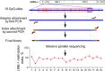 Image, graphical abstract