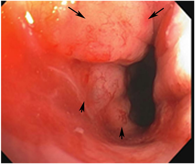 Figure 24: