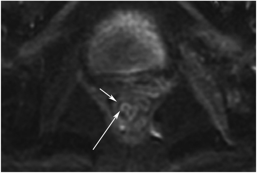 FIGURE 7: