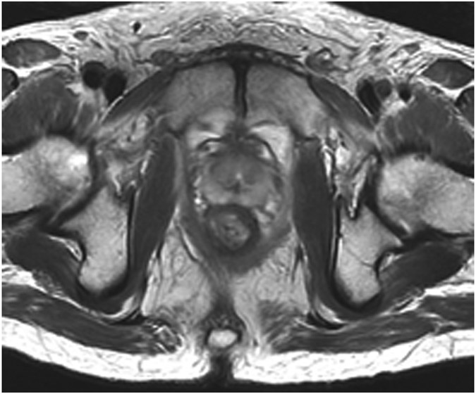 Figure 24: