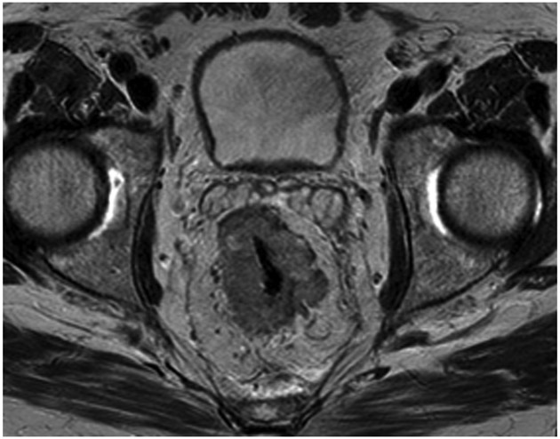 FIGURE 9: