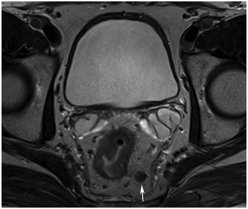 FIGURE 5: