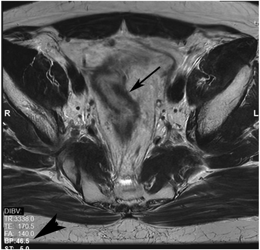 FIGURE 4: