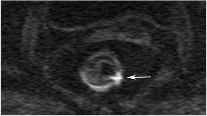 Figure 20: