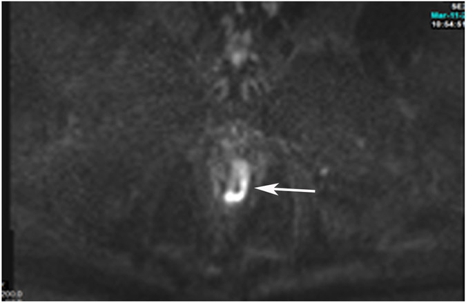 Figure 24: