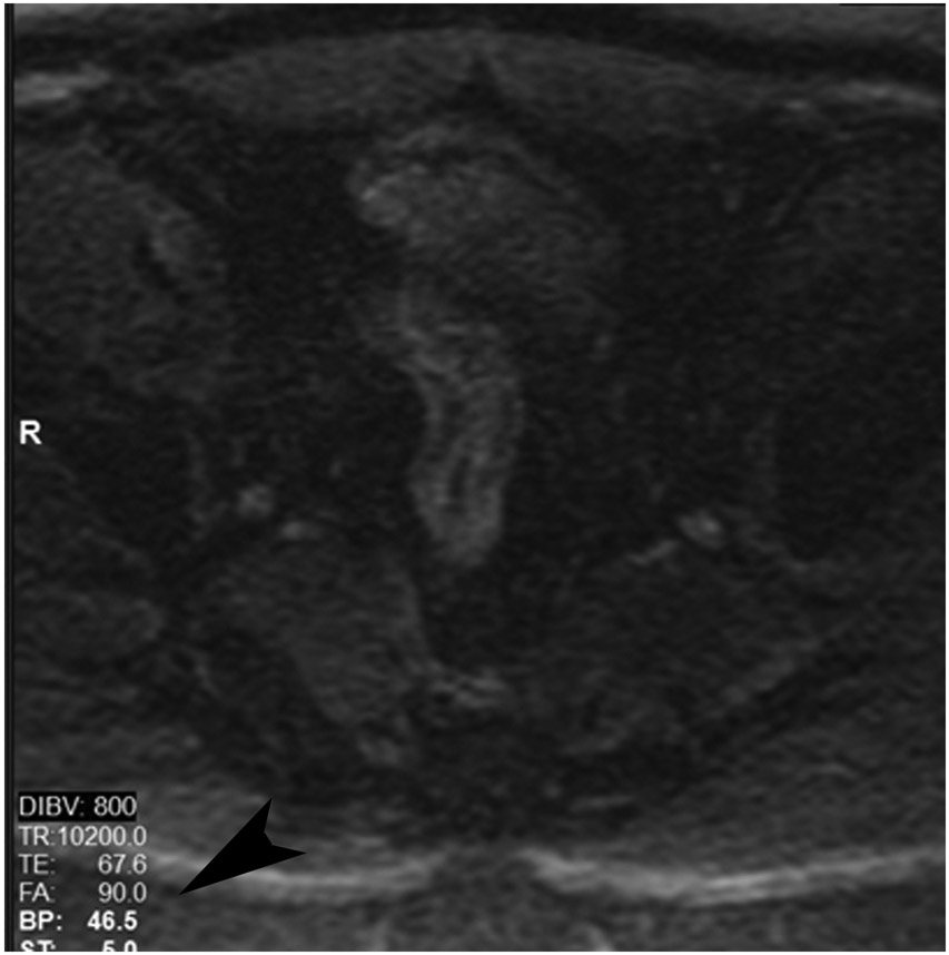 FIGURE 4: