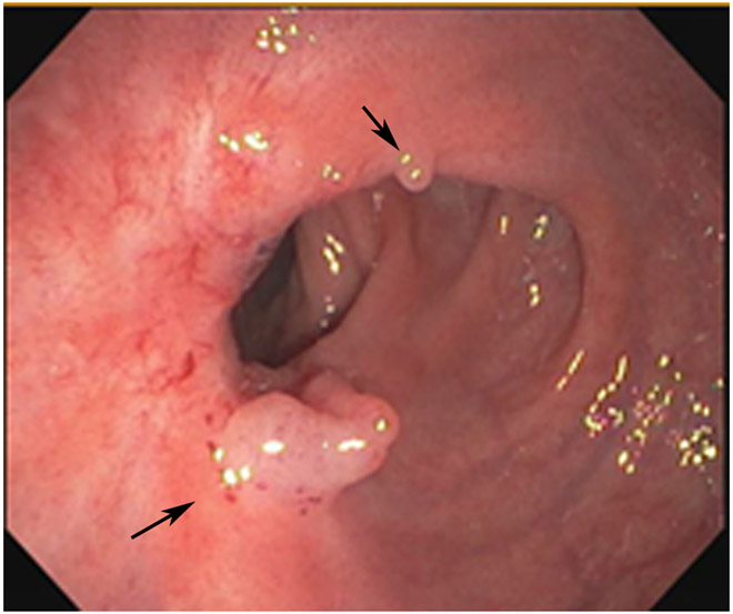 Figure 23: