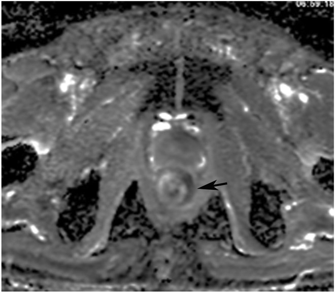 Figure 24: