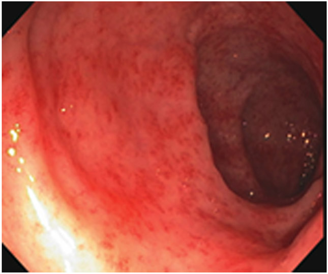 Figure 24: