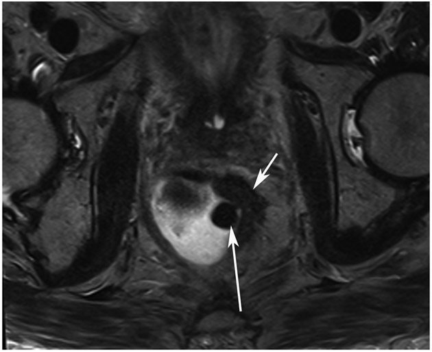 FIGURE 9: