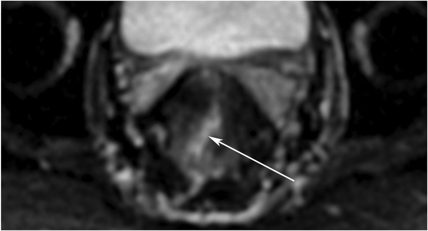 FIGURE 5: