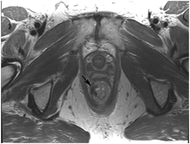 FIGURE 10: