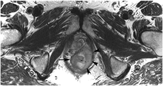 Figure 27: