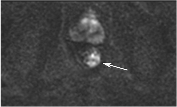 Figure 24: