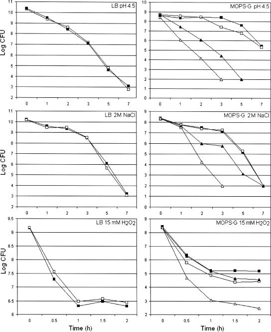 FIG. 2.