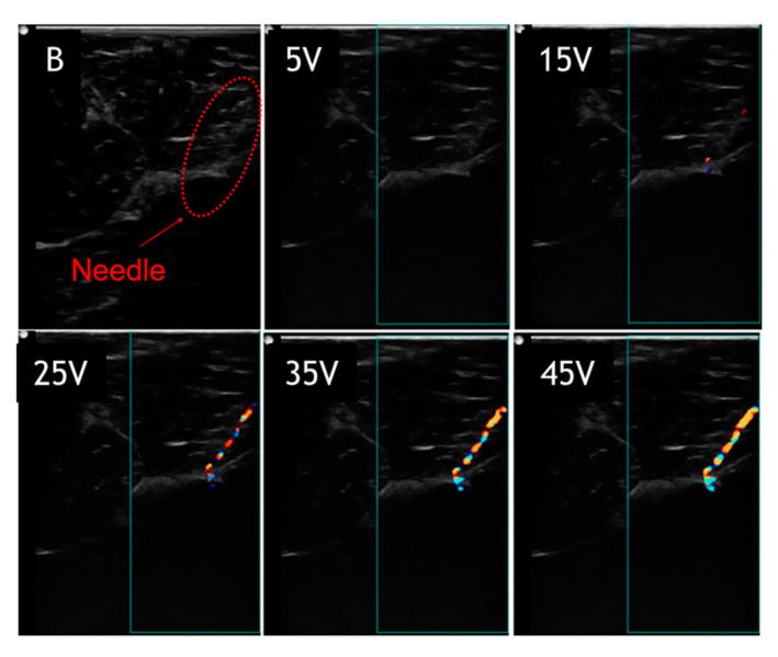 Figure 5