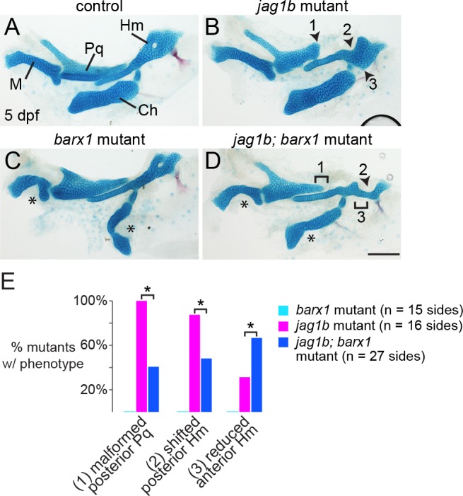 Fig 4