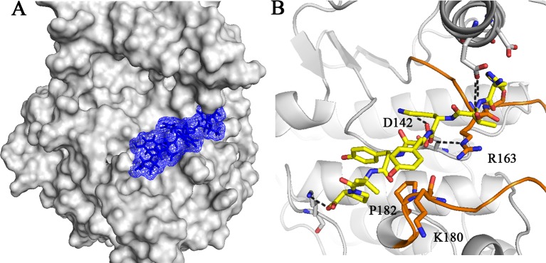 Fig 6