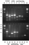 FIG. 1
