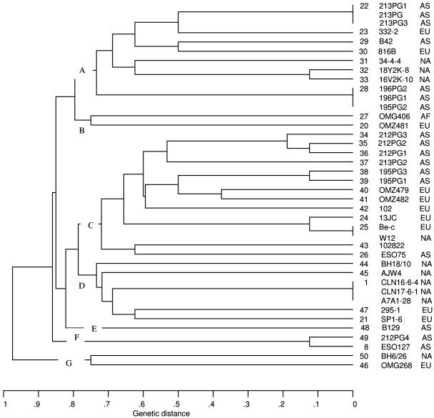 FIG. 1.