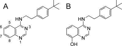 FIG. 5.