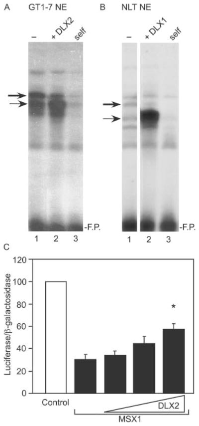 Fig. 5