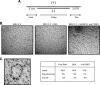 Fig 8