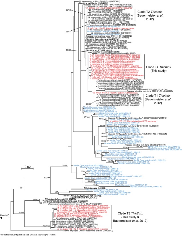 Fig 4