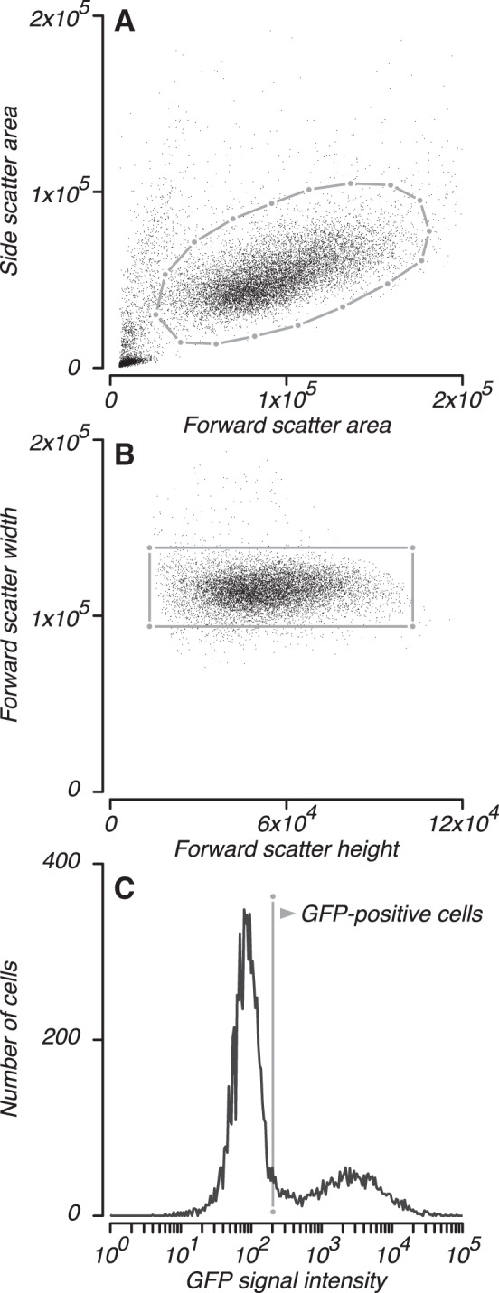 Fig. 2.