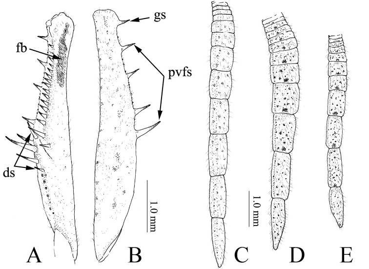 Figure 5.