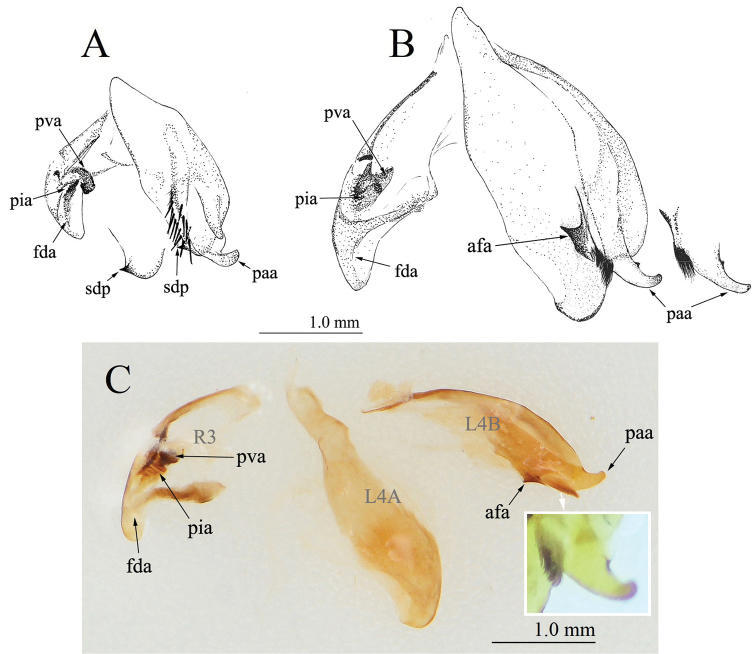 Figure 6.