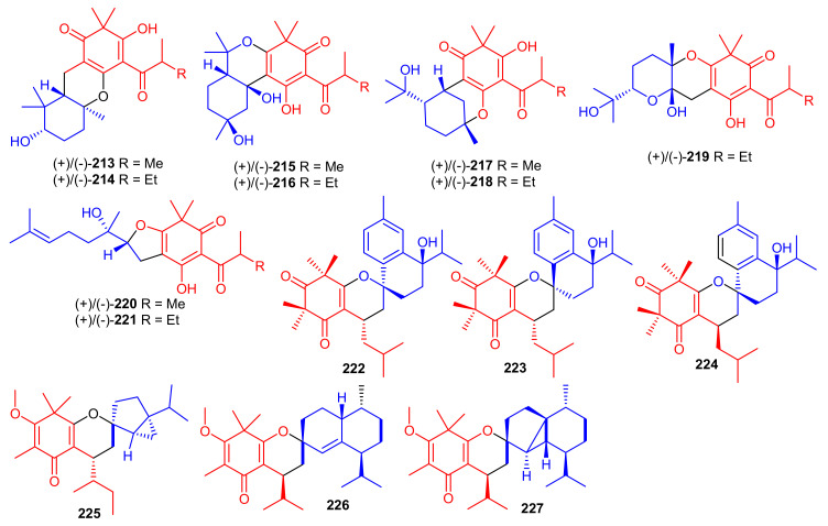 Figure 24