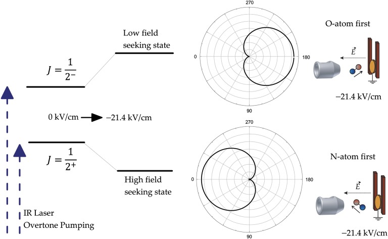 Fig. 1.