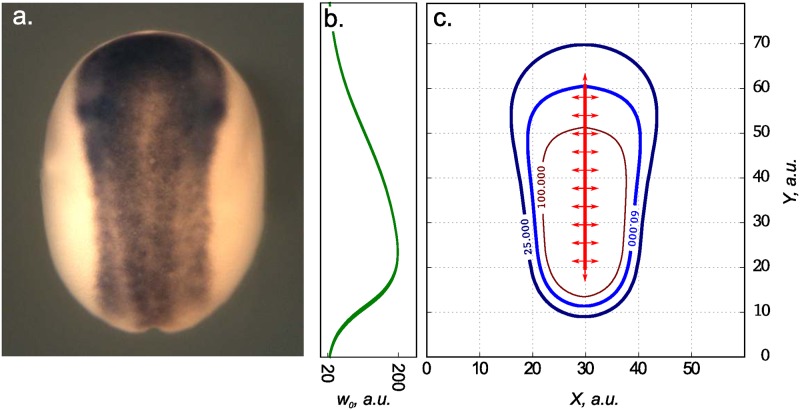 Fig 7