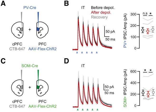 Figure 5—figure supplement 2.