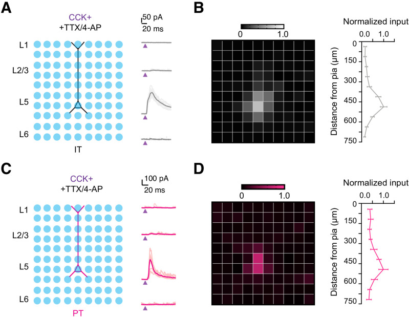 Figure 4—figure supplement 1.