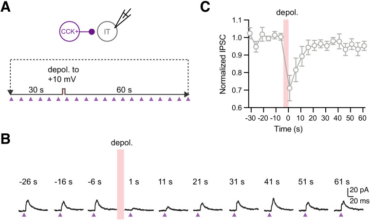 Figure 5—figure supplement 1.