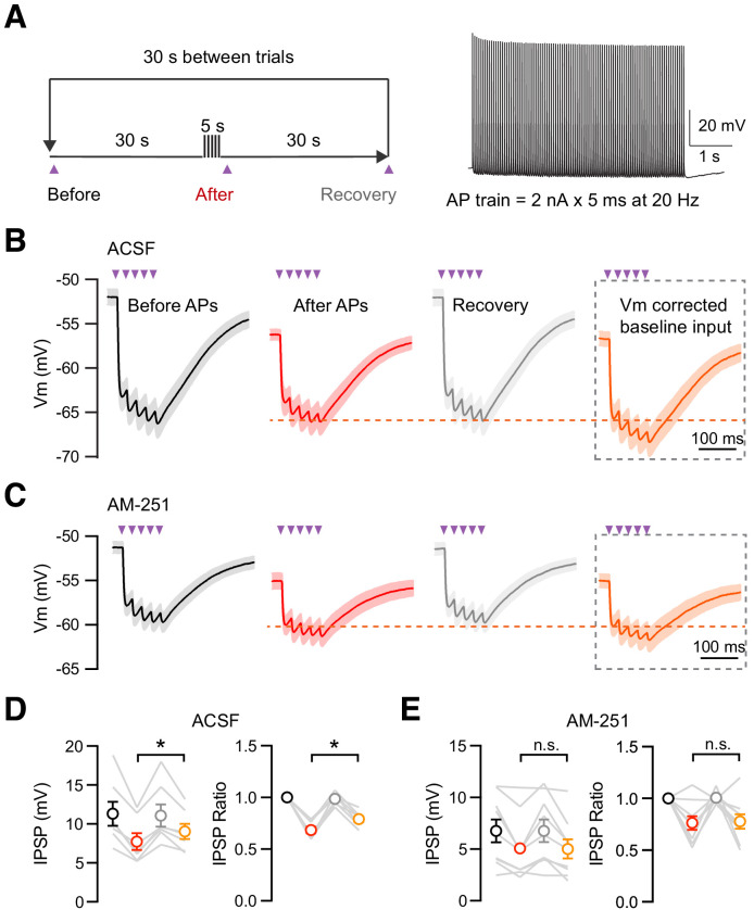 Figure 5—figure supplement 3.