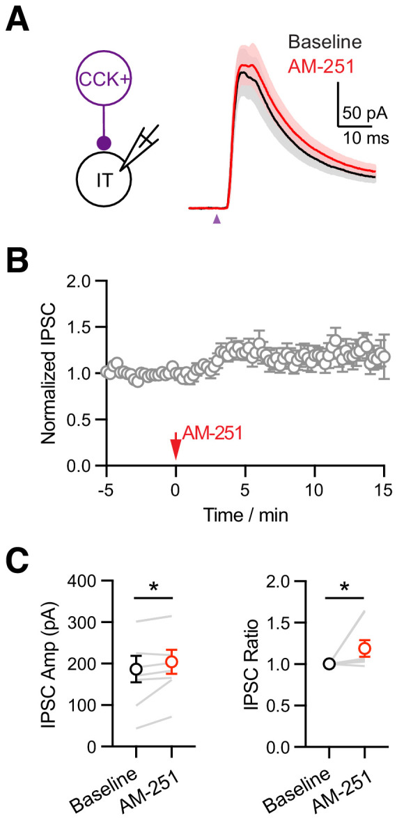 Figure 6—figure supplement 1.