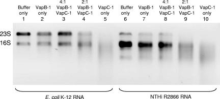 FIG. 8.